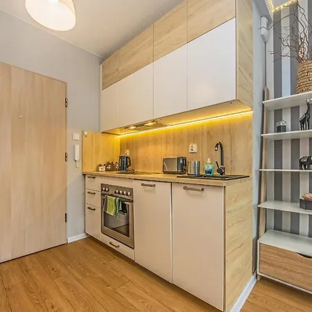 Lemon Lejlighed Pruszcz Gdański